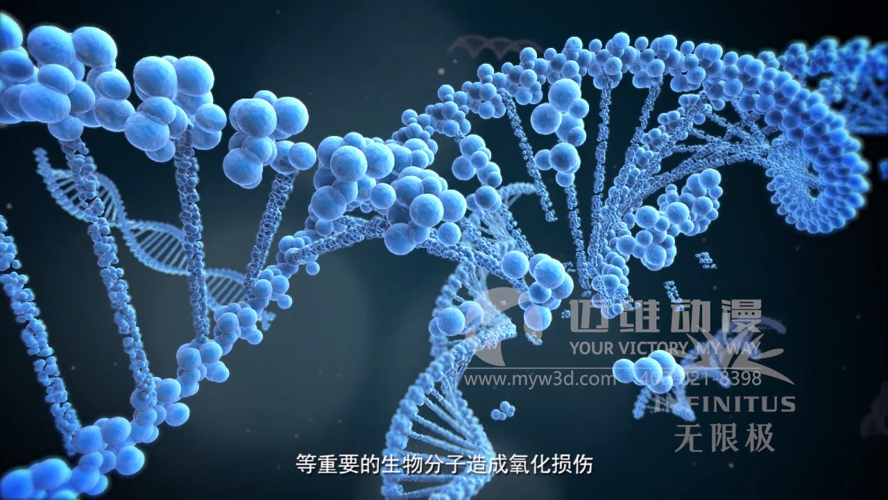 醫(yī)學(xué)醫(yī)療三維動畫制作公司 醫(yī)學(xué)醫(yī)療三維動畫制作公司