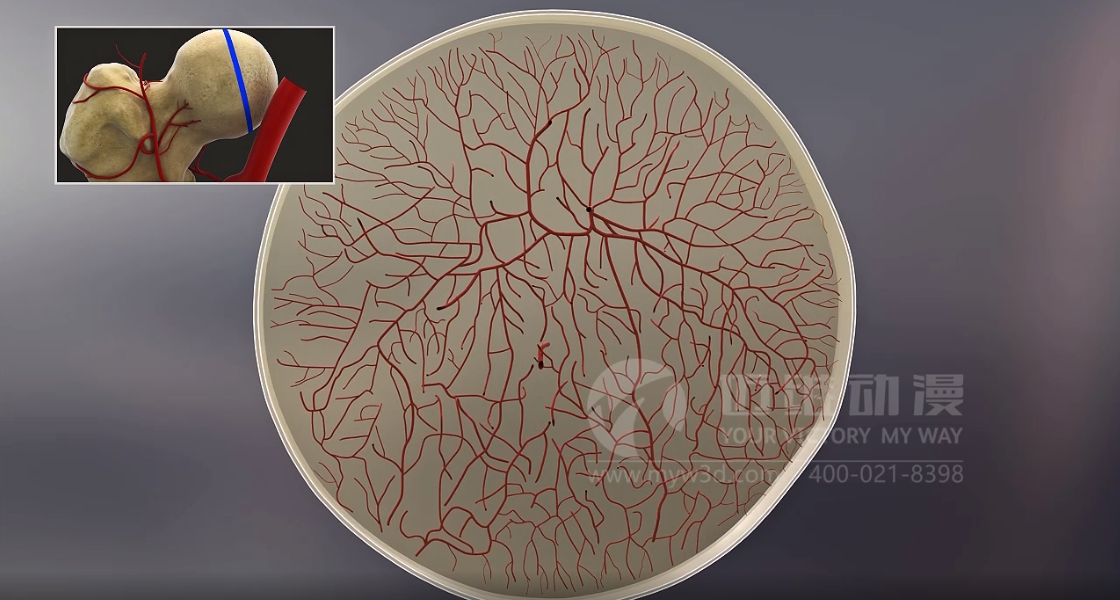 醫(yī)學(xué)醫(yī)療行業(yè)為什么青睞于三維動畫？(圖5)