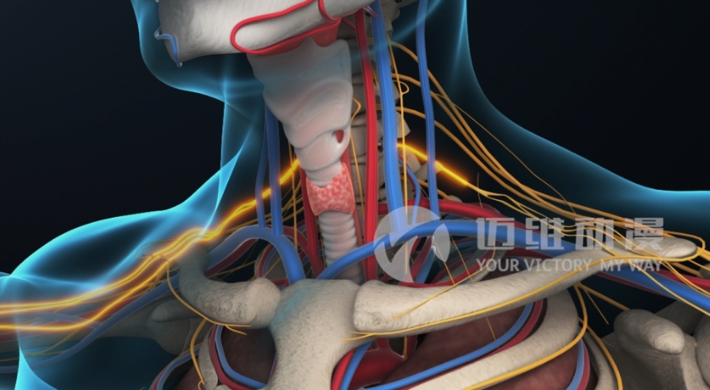 火爆出圈的“三維動(dòng)畫”，能為醫(yī)學(xué)行業(yè)發(fā)展帶來哪些機(jī)遇？(圖3)