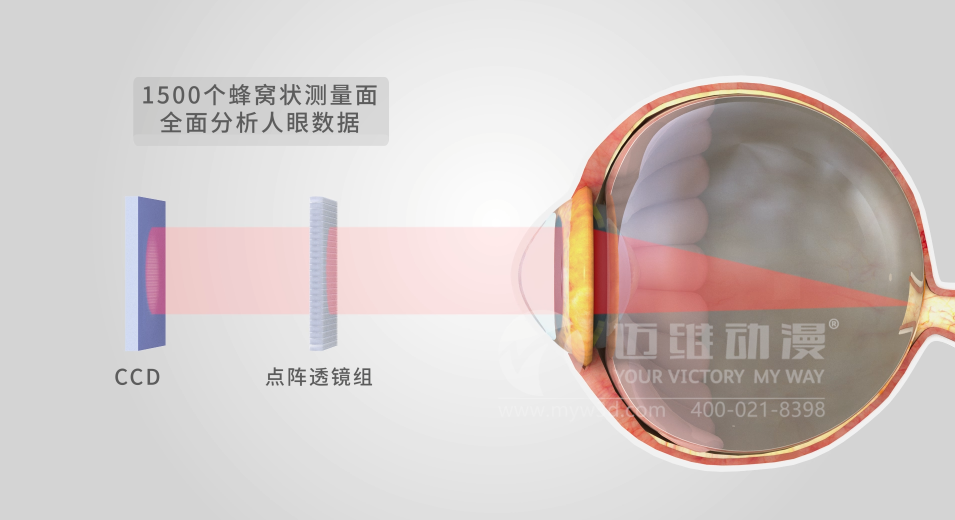 三維動(dòng)畫(huà)設(shè)計(jì)制作的重要步驟有哪些?(圖4) 三維動(dòng)畫(huà)設(shè)計(jì)制作的重要步驟有哪些?(圖4)