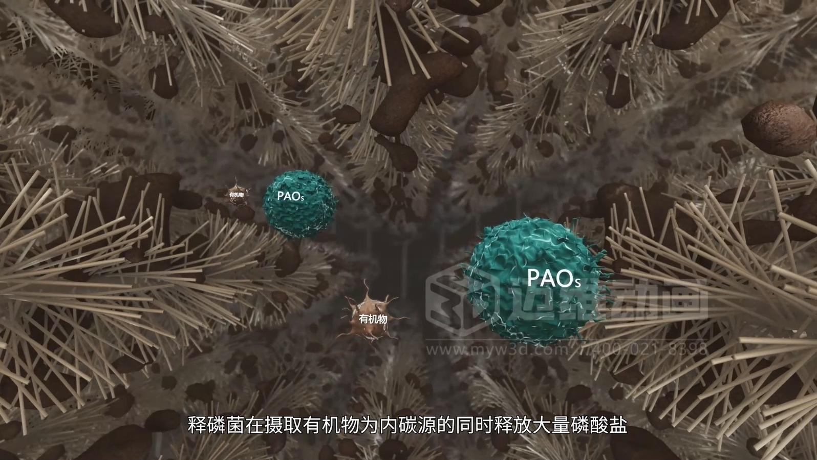 驚爆！三維動畫全方位展示鄉(xiāng)鎮(zhèn)污水一體化處理工藝，環(huán)保企業(yè)機遇來襲(圖4)