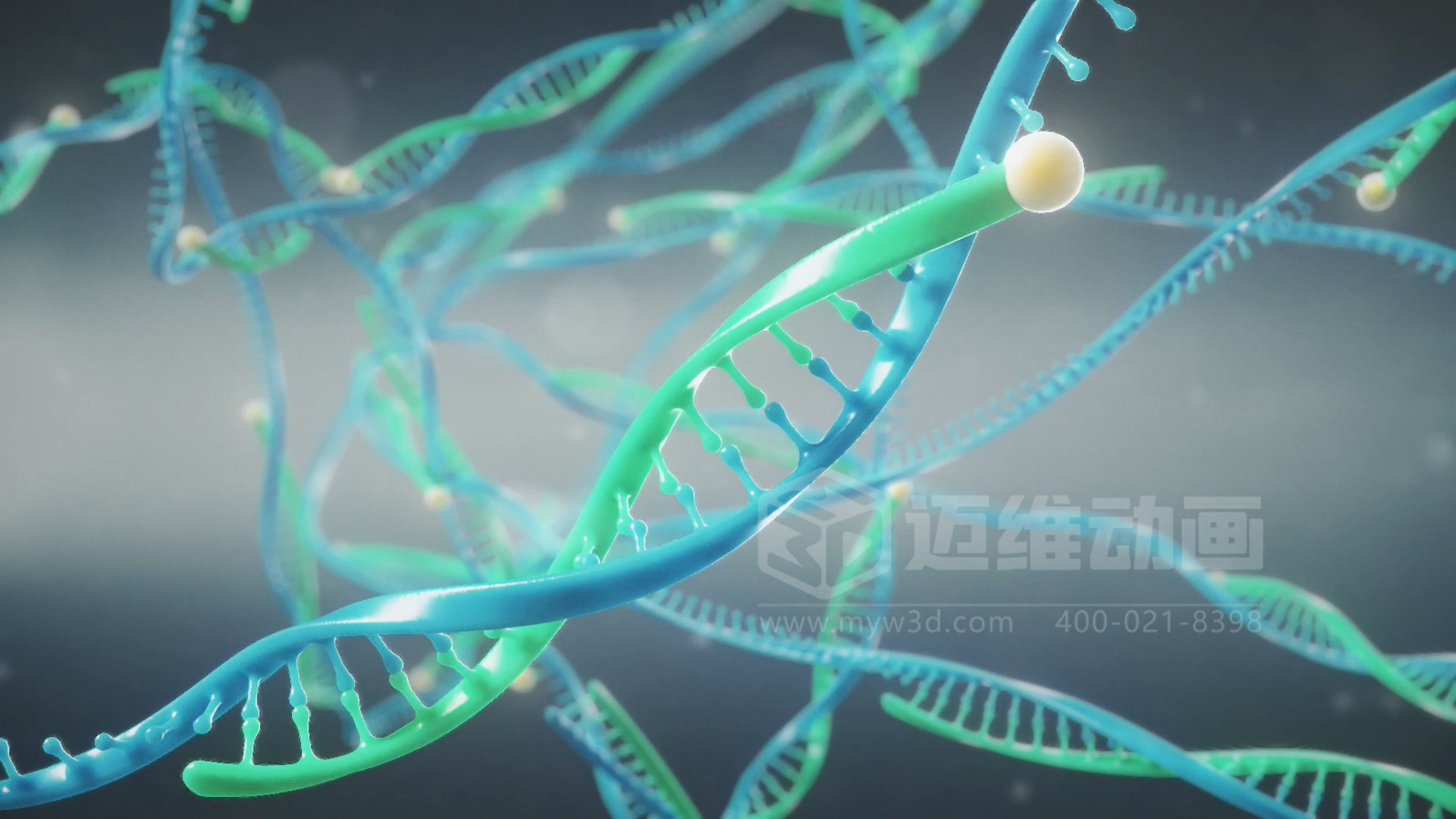 生物科技成果難落地？三維動(dòng)畫(huà)來(lái)破局！讓技術(shù)轉(zhuǎn)化效率飆升(圖2)