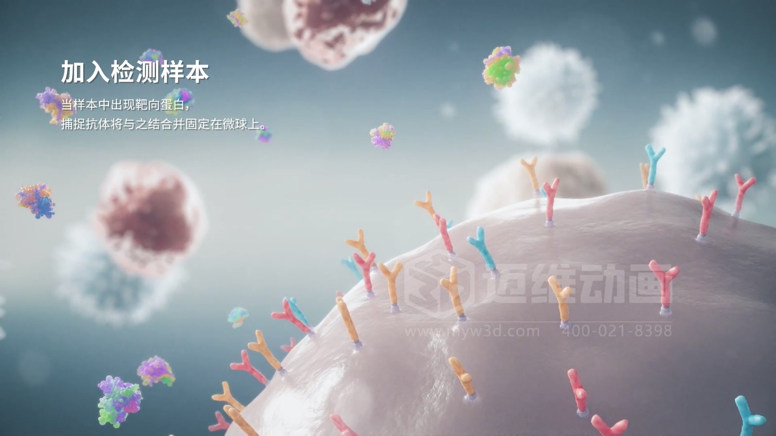 微觀世界竟能“動(dòng)”起來？生物科技三維動(dòng)畫帶你沉浸式探索生命奧秘(圖2)